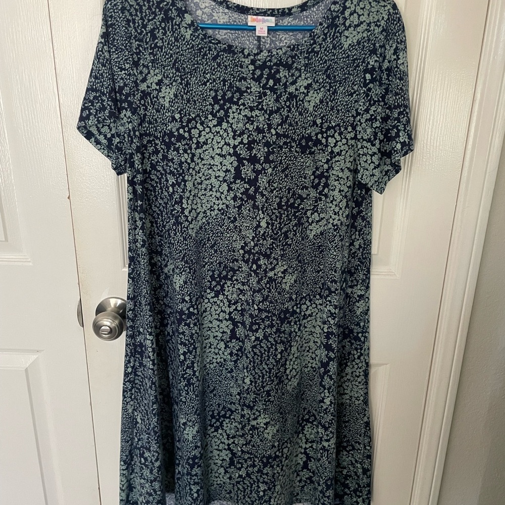LuLaRoe Carly Floral Navy & Mint Carly Style Dress